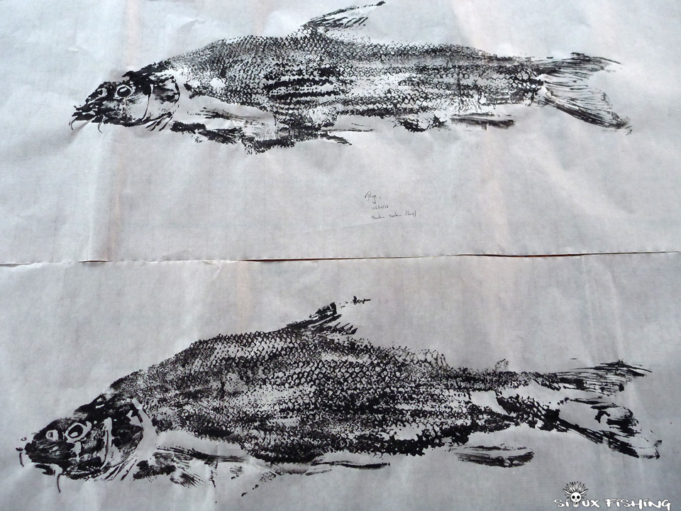 Gyotaku de barbeau fluviatile Gyotaku de barbeau fluviatile