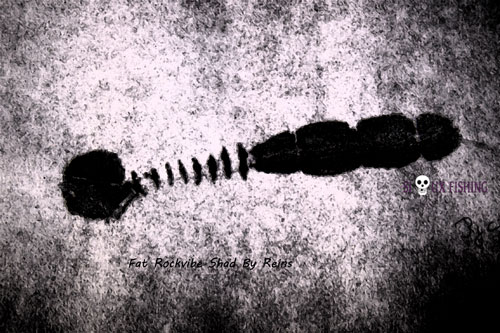 Gyotaku Fat rockvibe Shad fresque