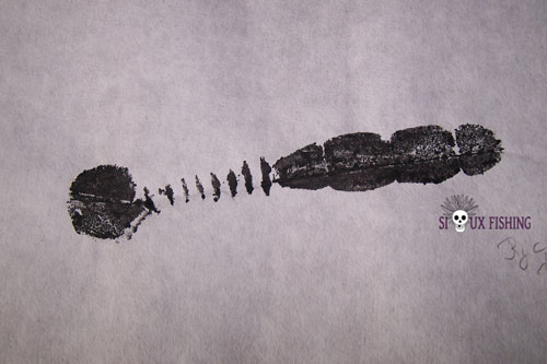 Gyotaku Fat rockvibe Shad original