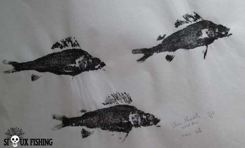 Gyotaku - Perches communes