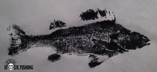 Gyotaku - Perches communes