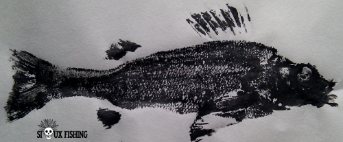 Gyotaku - Perche commune - Furax