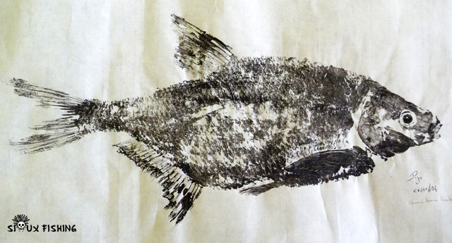 Gyotaku Brème commune