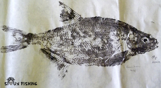 Gyotaku Brème commune