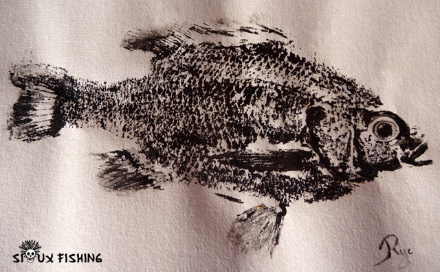 Gyotaku de perche soleil