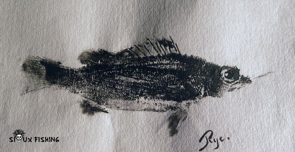 Gyotaku Serran commun