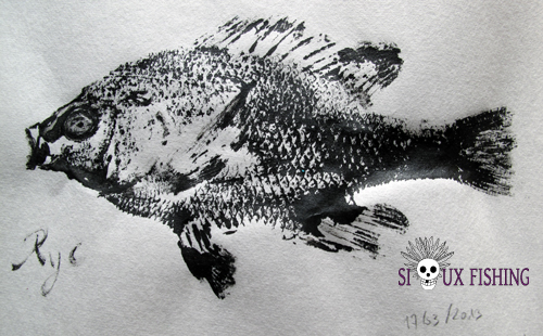 Gyotaku de Perche Soleil