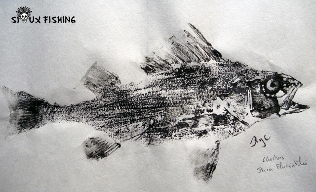 Gyotaku - Perche commune