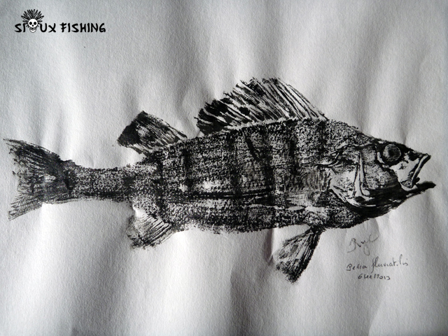 Gyotaku - Perche commune