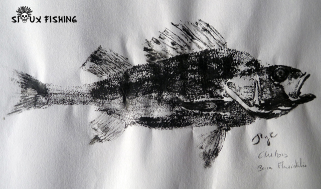 Gyotaku - Perche commune