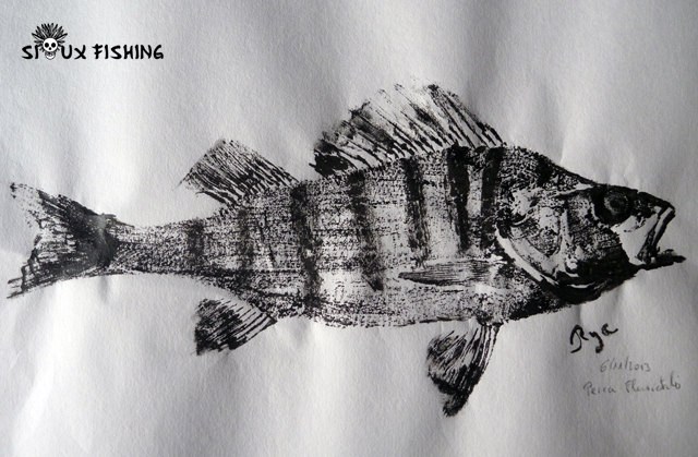 Gyotaku - Perche commune