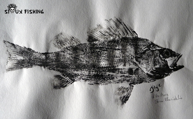 Gyotaku - Perche commune