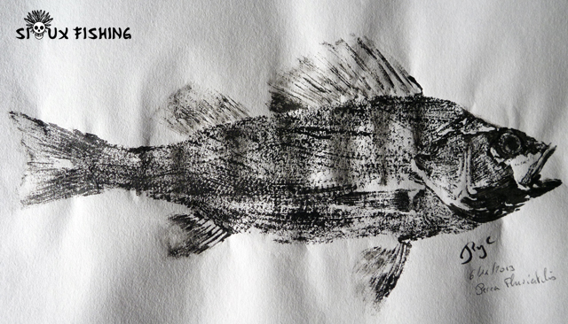 Gyotaku - Perche commune