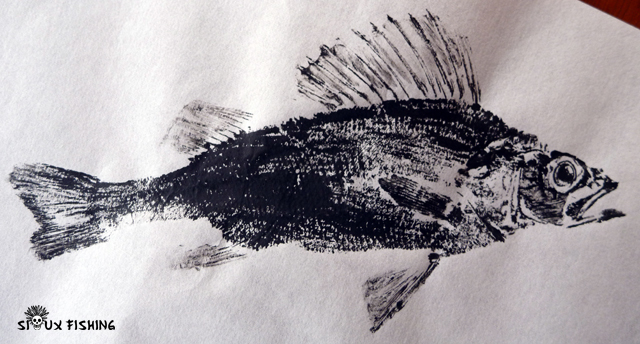 Gyotaku de perche