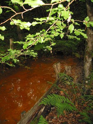 Petit rejet polluant sur un ruisseau