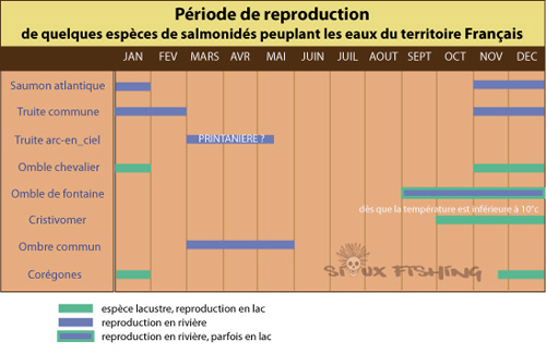 Calendrier de reproduction des salmonidés présents en France