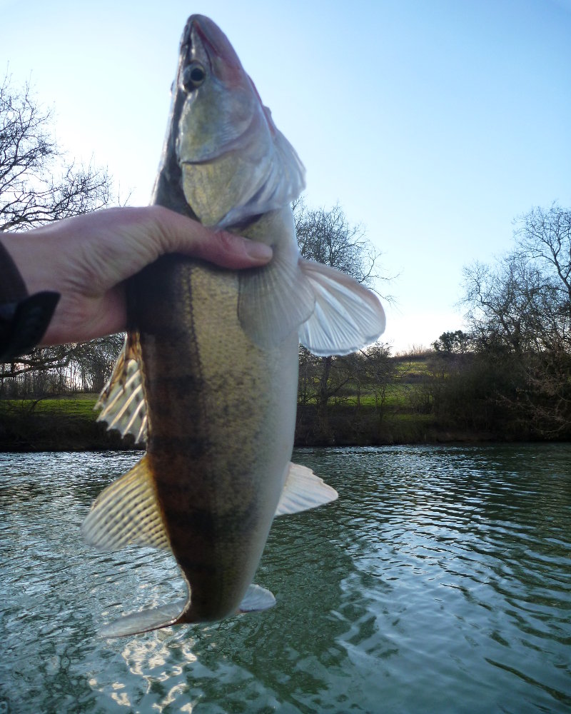 Week-end de fermeture!