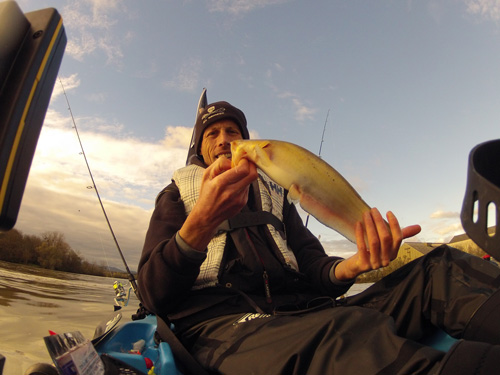 Petit silure en kayak au concours carnassier de Mâcon