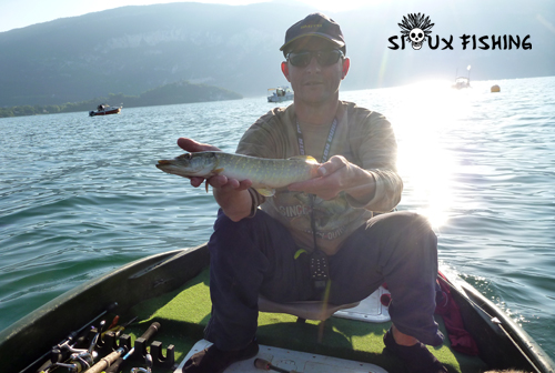 Brochet du Lac du Bourget