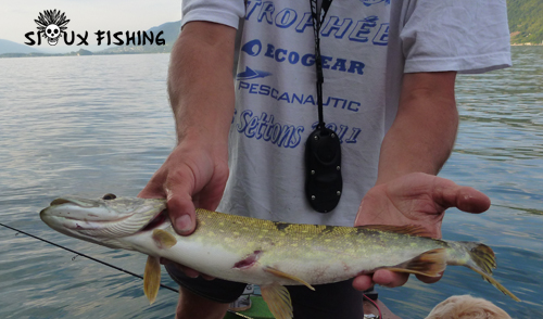 Borchet du Lac du Bourget