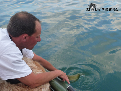 Borchet du Lac du Bourget