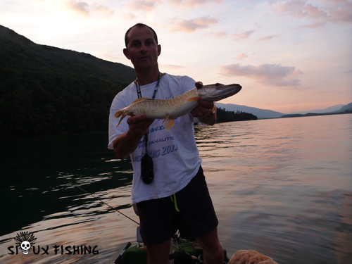 Brochet du Lac du Bourget