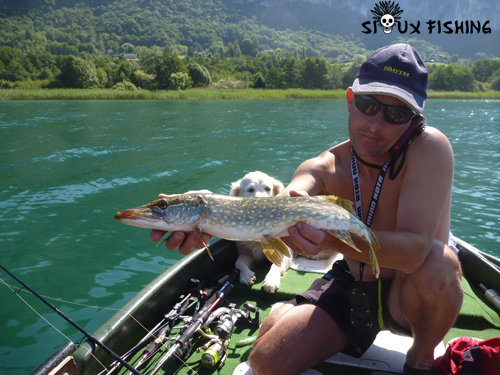 Brochet du Lac du Bourget
