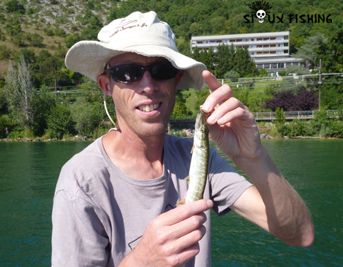 Tout petit brochet du Bourget