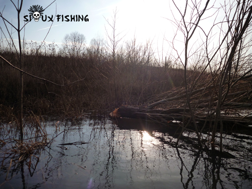 Trace de Castor à Fleurville