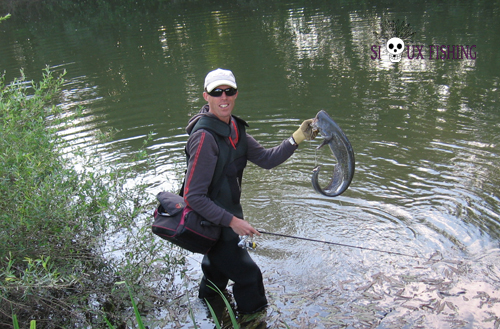Petit silure de Grosne