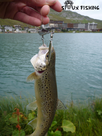 Truite du lac de Tignes