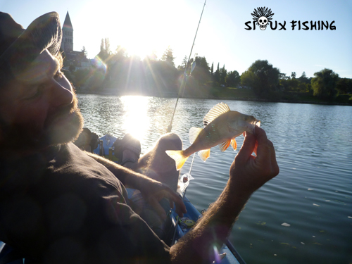 Perchette de Saône au Deep Diving Chubby