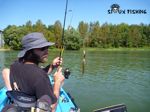 Perchette de Saône au Deep Diving Chubby