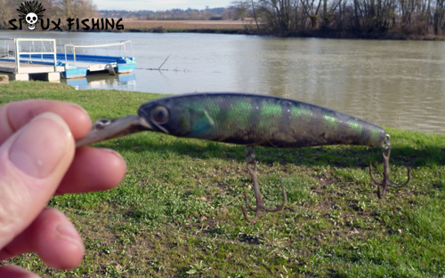 Nettoyage des bords de Seille