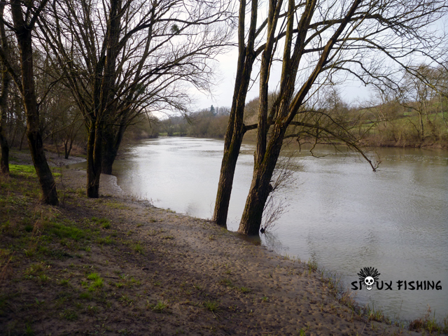 Nettoyage des bords de Seille