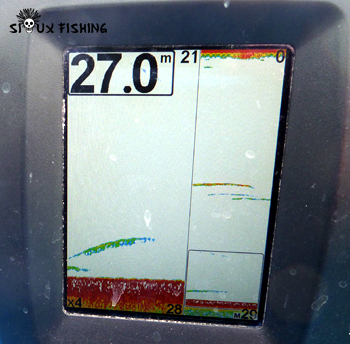 Images sondeur corégones