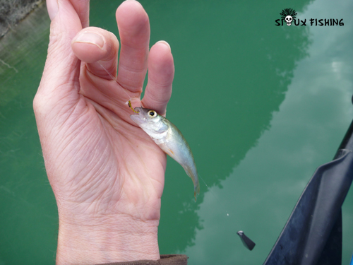Pêche en kayak au Lac Chalain