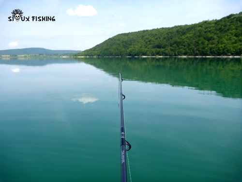 Corégone du Lac Chalain