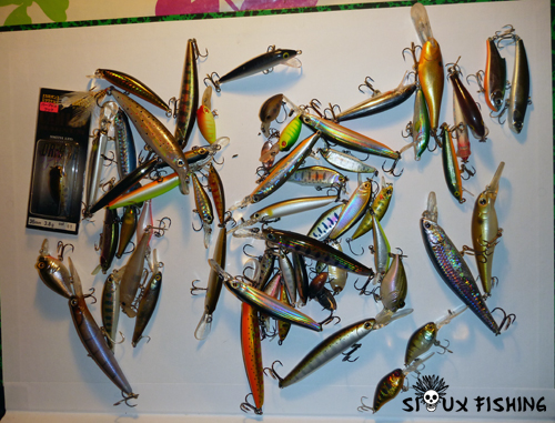 Poisson nageur pour la truite