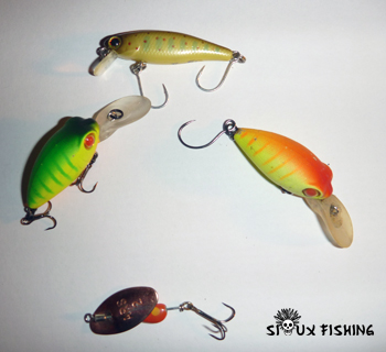 Poisson nageur pour la truite