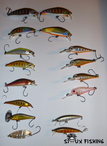 Poisson nageur pour la truite