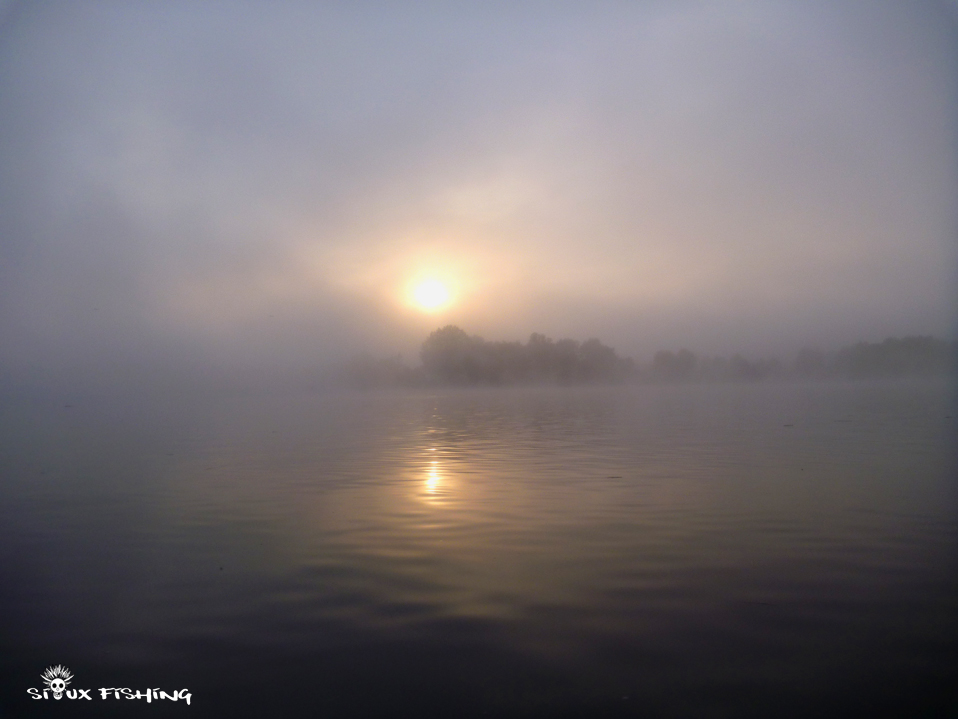 La Saône au matin