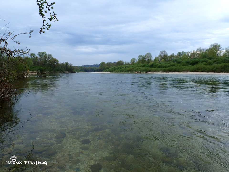 Basse rivière d'Ain