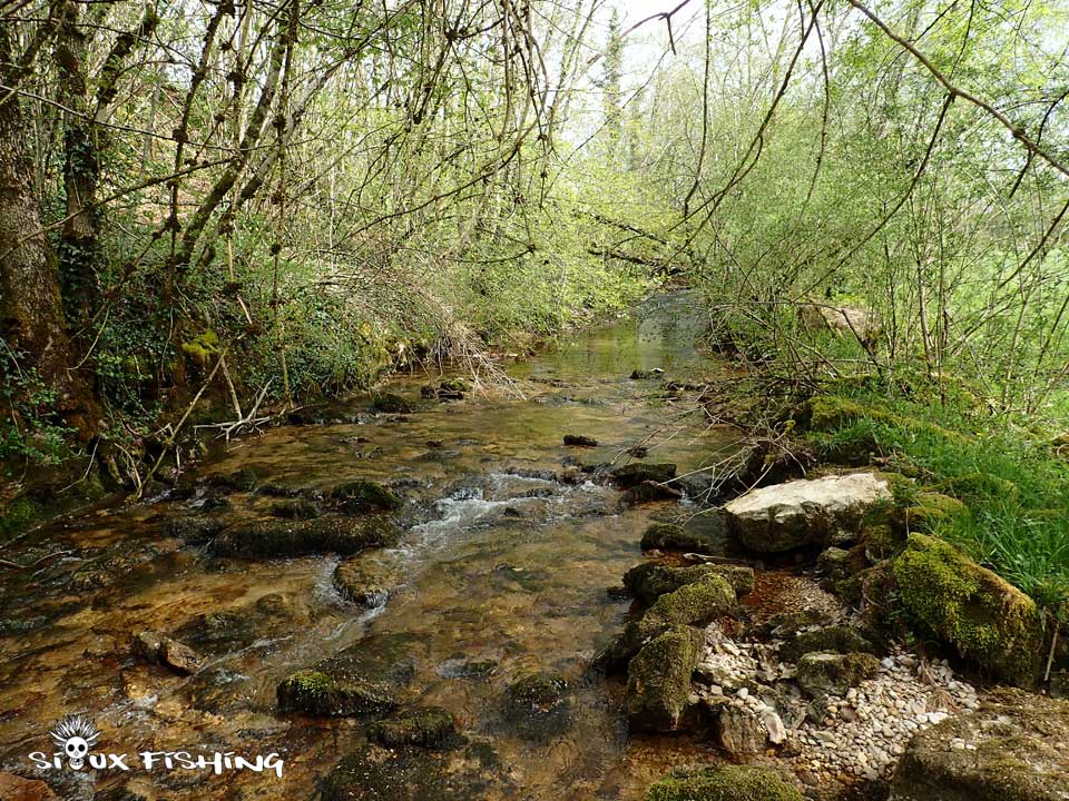 La Sirène, rivière du Jura