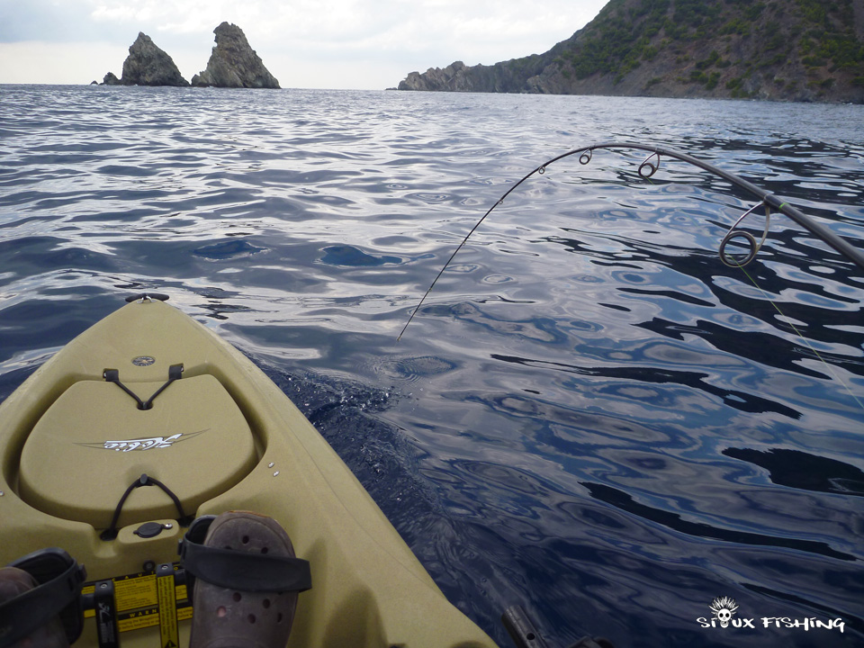 Combat avec une bonite