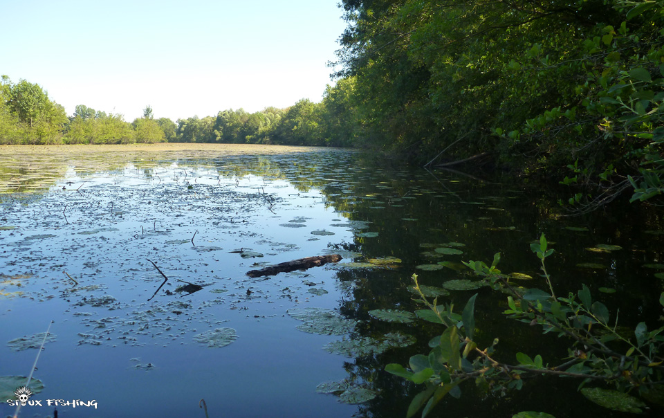La Vieille Seille, un spot à bass