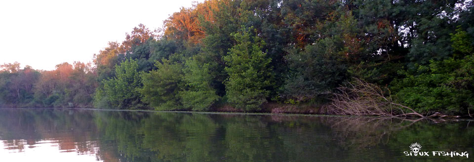 La Seille à Cuisery