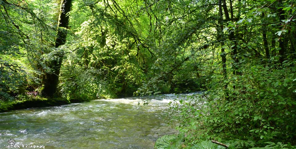 Affluent de la Haute rivière d'Ain