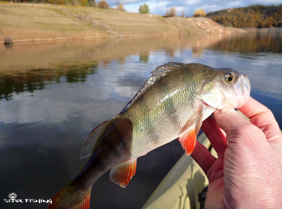 Petite perche du Barrage de Villerest