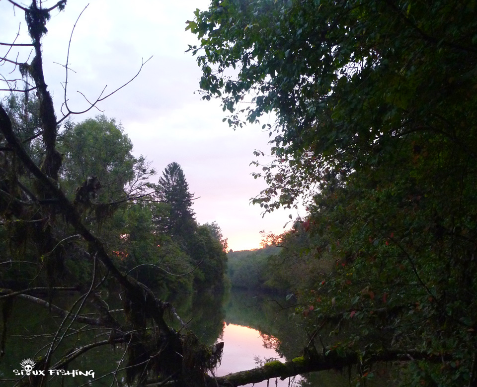 Haute rivière d'Ain au petit matin